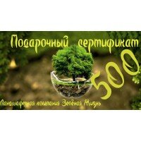 Подарочный сертификат на 500грн.