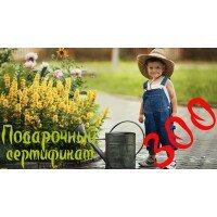 Подарочный сертификат на 300грн.