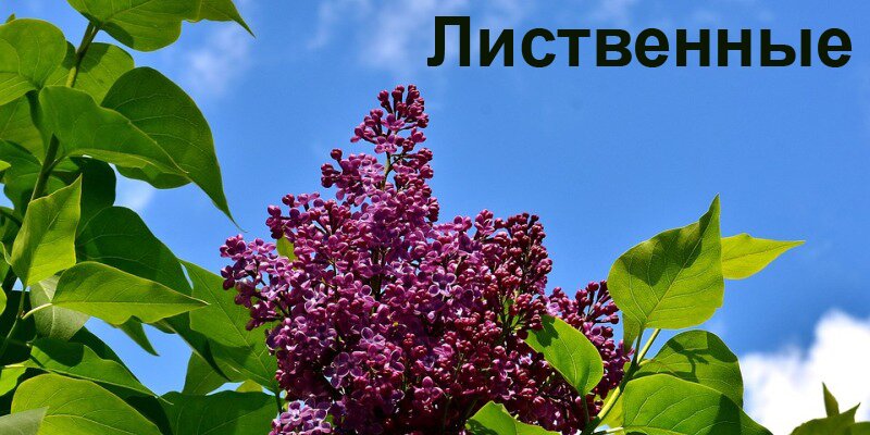 Баннер 3