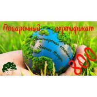 Подарочный сертификат на 800грн.